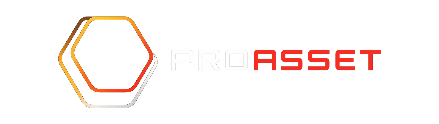 Pro Asset Logo